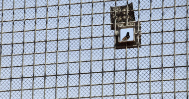 Separated: The humanitarian consequences of solitary confinement in detention