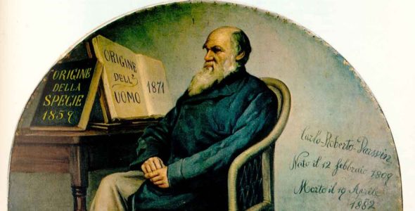Italian panel depicting Charles Darwin, created ca. 1890, on display at the Turin Museum of Human Anatomy