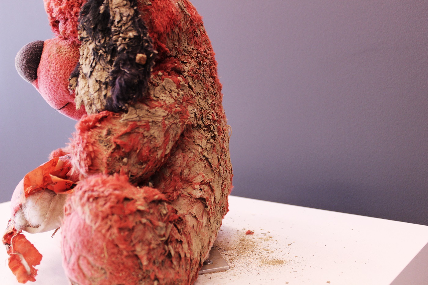 Bear from Iraq. War in Cities Photo Book. ICRC.Roxas