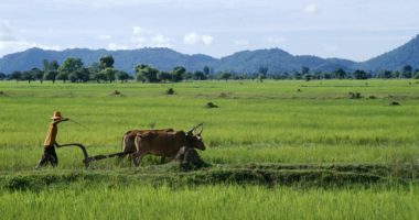 Climate change, environment and humanitarian action in Southeast Asia