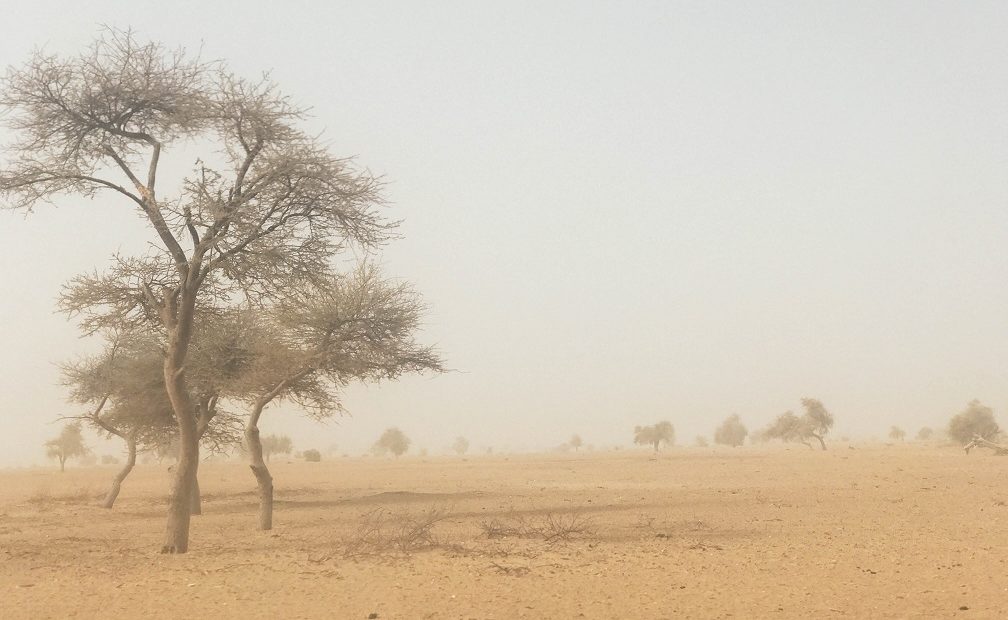 Responder aos riscos climáticos nas zonas de conflito: em busca de soluções