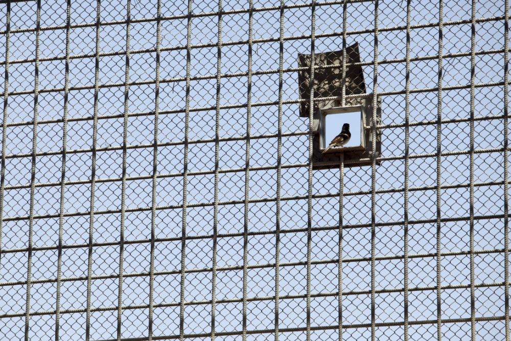 Outsourcing humanity? International law, humane treatment, and artificial intelligence in detention operations