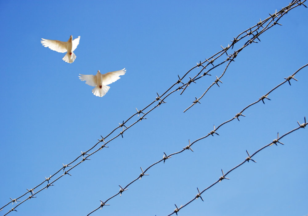 Peace can start in a prison cell: how IHL and humane detention can build pathways to peace