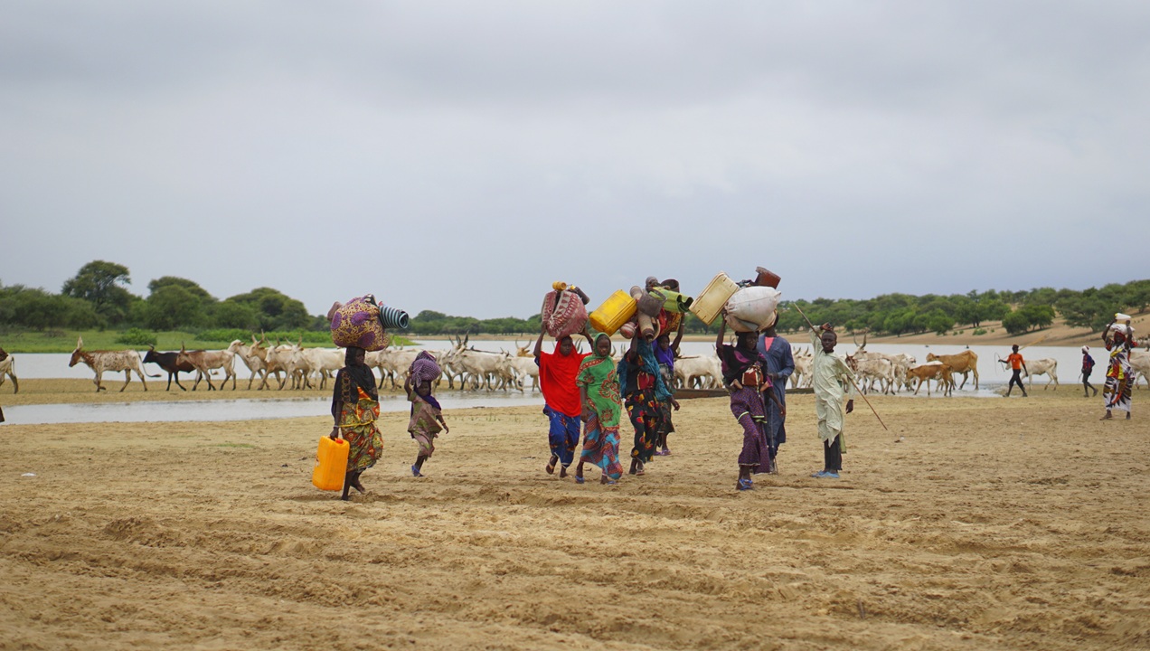 When the perpetrator is the climate