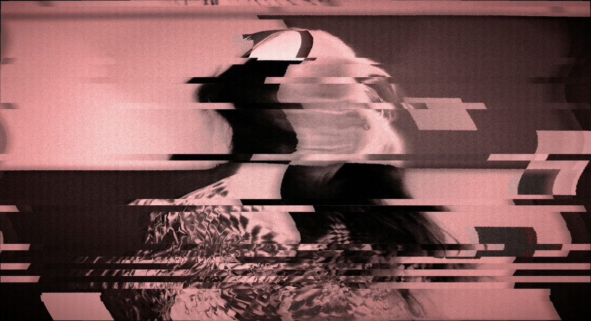 The machines must not choose who dies: a humanitarian case for disarming AI