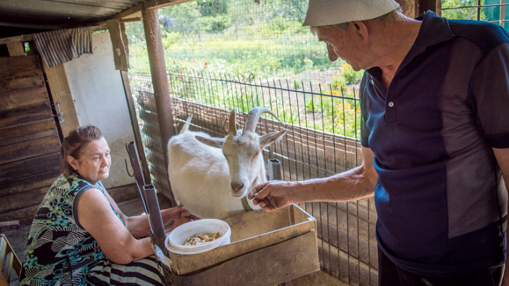 ‘อย่าลืมพวกเรา’: เสียงเล็กๆ จากเจ็ดครอบครัวสุดท้ายในหมูบ้านวาเดียเนีย ประเทศยูเครน