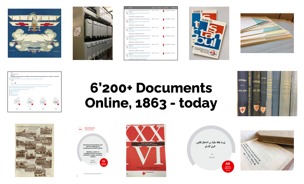 Red Cross Red Crescent Statutory Meetings Documents