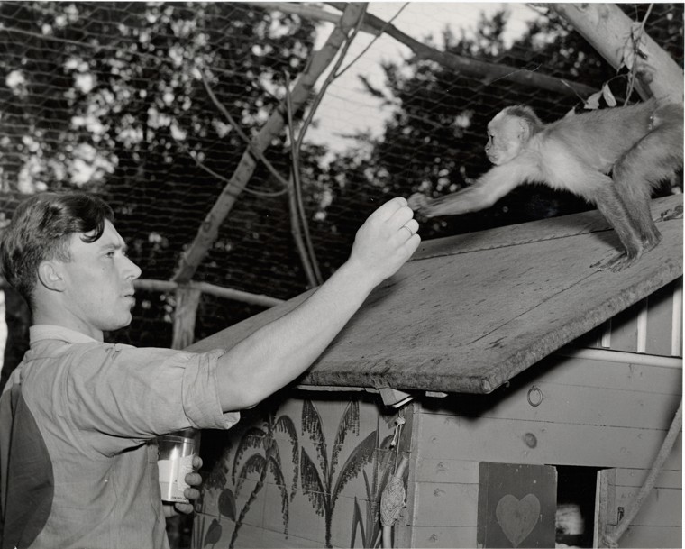 Cartographier les camps visités par le CICR pendant la Seconde Guerre mondiale