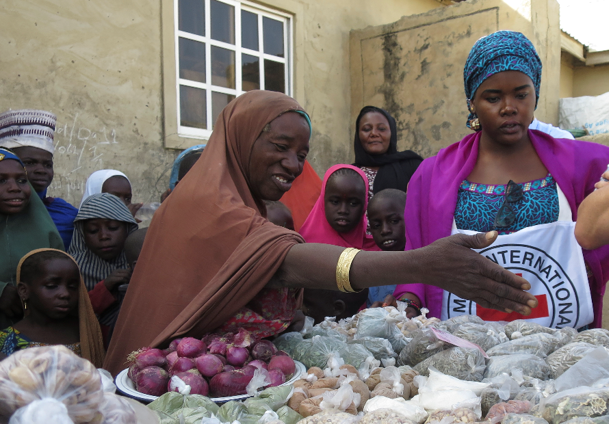 Partnerships for Greater Impact – ICRC Nigeria