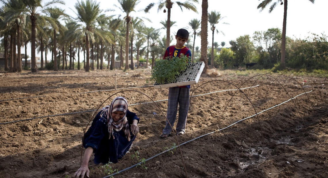 Red Cross report: Climate change, environmental degradation and protracted armed conflict are exacerbating humanitarian needs across the Near and Middle East