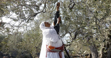 الفلاحون الفلسطينيون ضحايا لتغيرات مناخية وبيئية