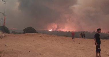 حرائق الجزائر مثالًا: مواقع التواصل الاجتماعي تقود العمل الإنساني