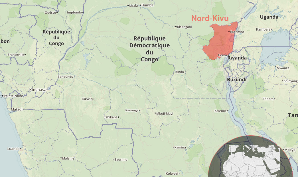 République démocratique du Congo : le CICR appelle à la libération sans conditions des membres de son équipe enlevés au Nord-Kivu