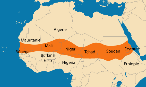 Sahel : les problèmes de sécurité occultent une grave crise humanitaire dans cinq pays