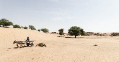 Changement climatique et conflit armé : cocktail de violence exacerbée