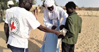 Tchad : 384 000 animaux vaccinés contre la peste ovine et la clavelée