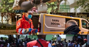 Covid-19 : 3 bourses de recherches postdoctorales proposées par la Fondation de la Croix-Rouge française