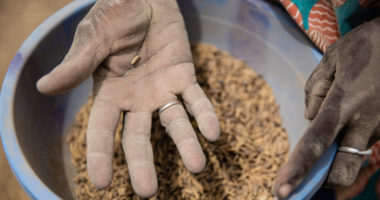 Quand le Covid-19 devient vecteur de famine