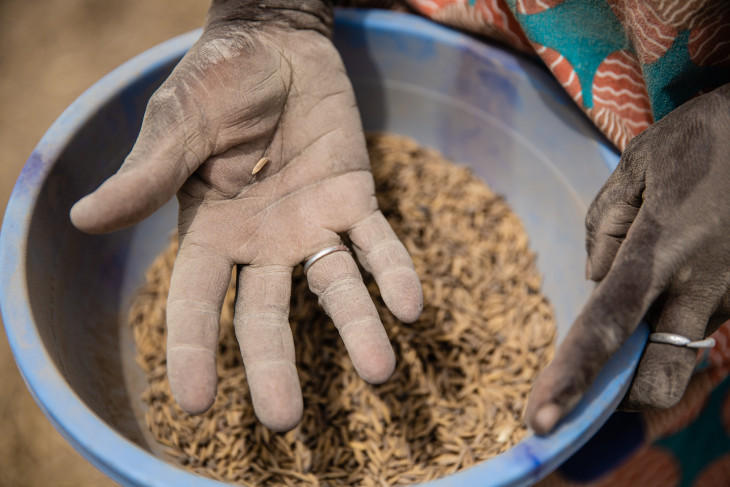 Quand le Covid-19 devient vecteur de famine