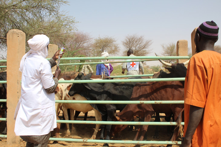 Niger : 3,5 millions d’animaux vaccinés pour renforcer la situation économique des éleveurs