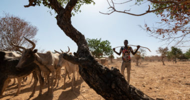 COP 26 : Ne pas oublier les pays les plus vulnérables au changement climatique parce que déjà minés par un conflit armé