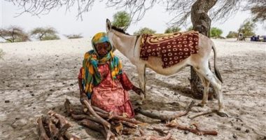 COP26 : ne pas oublier les plus vulnérables, victimes des conflits armés et du changement climatique