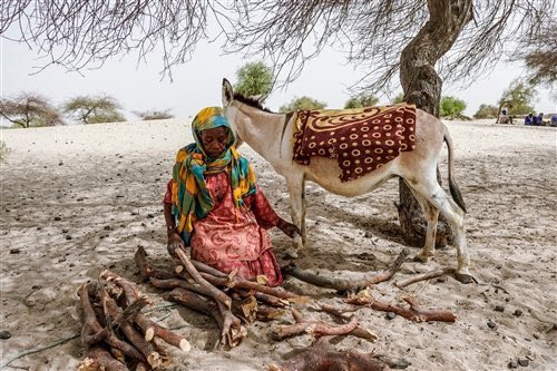 COP26 : ne pas oublier les plus vulnérables, victimes des conflits armés et du changement climatique