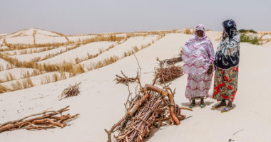 Forum de Dakar : En attendant la paix, laisser l’accès à l’humanitaire…