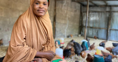 Nigéria : comment le CICR soutient les éleveurs déplacés par le conflit ?