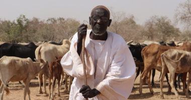 Burkina Faso : l’eau, l’autre défi des éleveurs en quête de survie