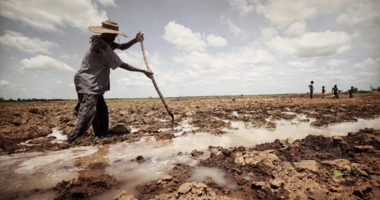 COP27 : Recentrer le débat sur les populations affectées par les conflits et le changement climatique