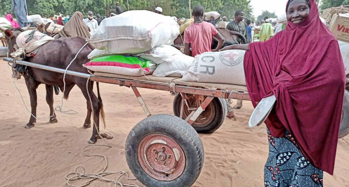 Niger : soutien aux populations et à leurs moyens de subsistance