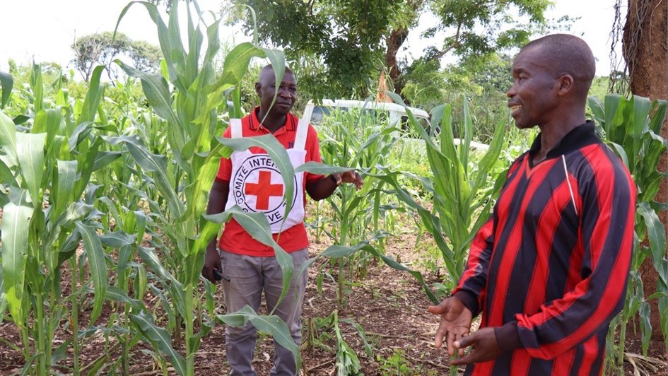 République Centrafricaine : large palette d’activités du CICR