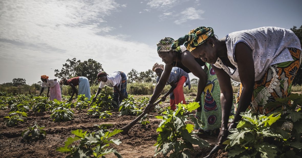 Tour d’horizon 2023 des opérations de la délégation régionale du CICR à Dakar