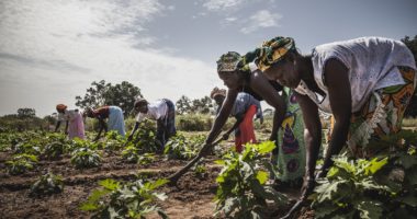 Tour d’horizon 2023 des opérations de la délégation régionale du CICR à Dakar