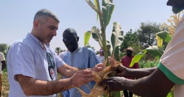 Burkina Faso : face à une crise qui se prolonge, construire la résilience des communautés, ensemble avec elles