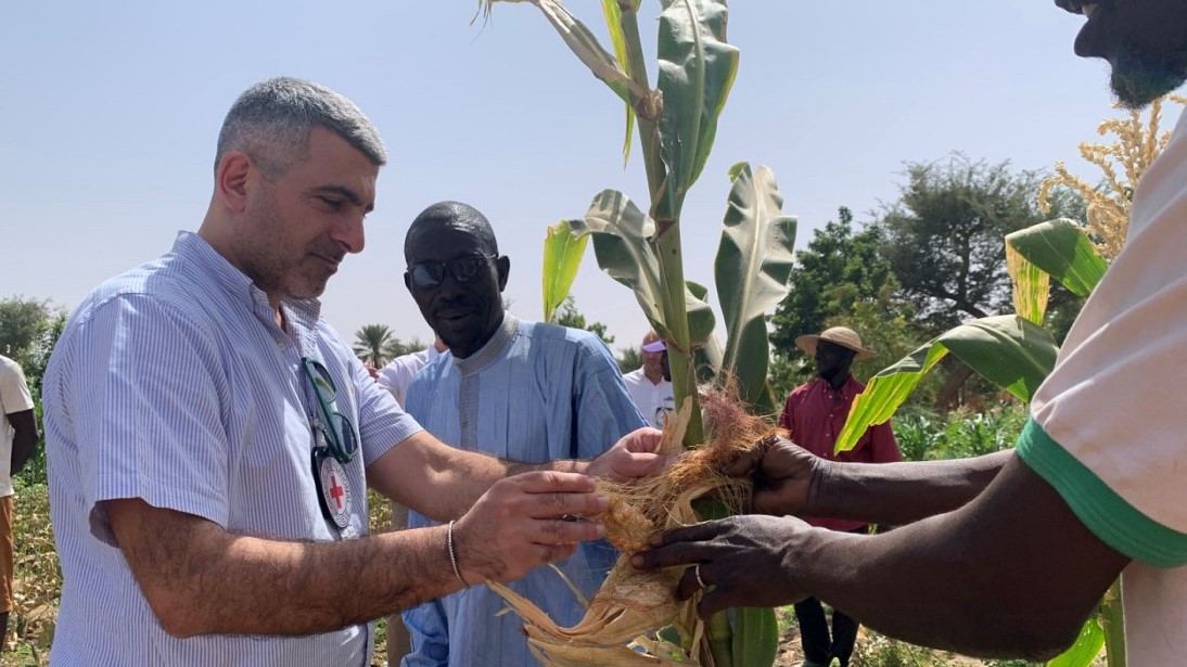 Burkina Faso : face à une crise qui se prolonge, construire la résilience des communautés, ensemble avec elles