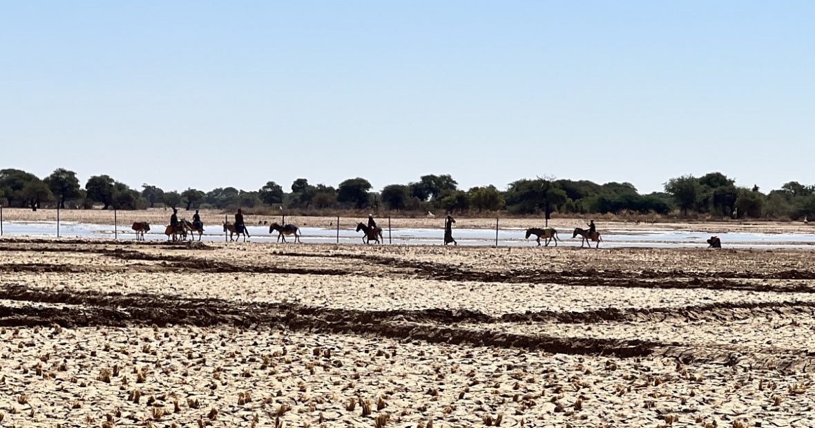 Mali : Ménaka lutte pour sa sécurité alimentaire