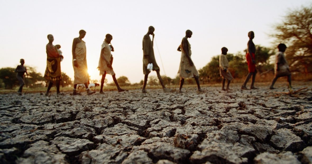 Conflits armés : un désastre silencieux pour l’environnement