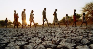 Conflits armés : un désastre silencieux pour l’environnement