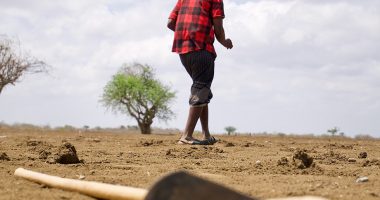 Praying for the rain: the drought strikes and the Somalis are dying of hunger