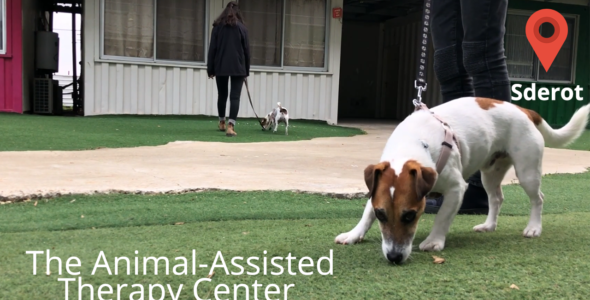 The Animal-Assisted  Therapy Center