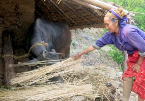 “I Will Come Back… More Confident” – Marmendu’s Story Two Years On from Nepal Earthquake