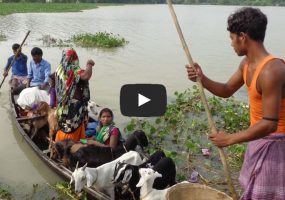 बिहार बाढ़ पीड़ितों के लिए राहत कार्य