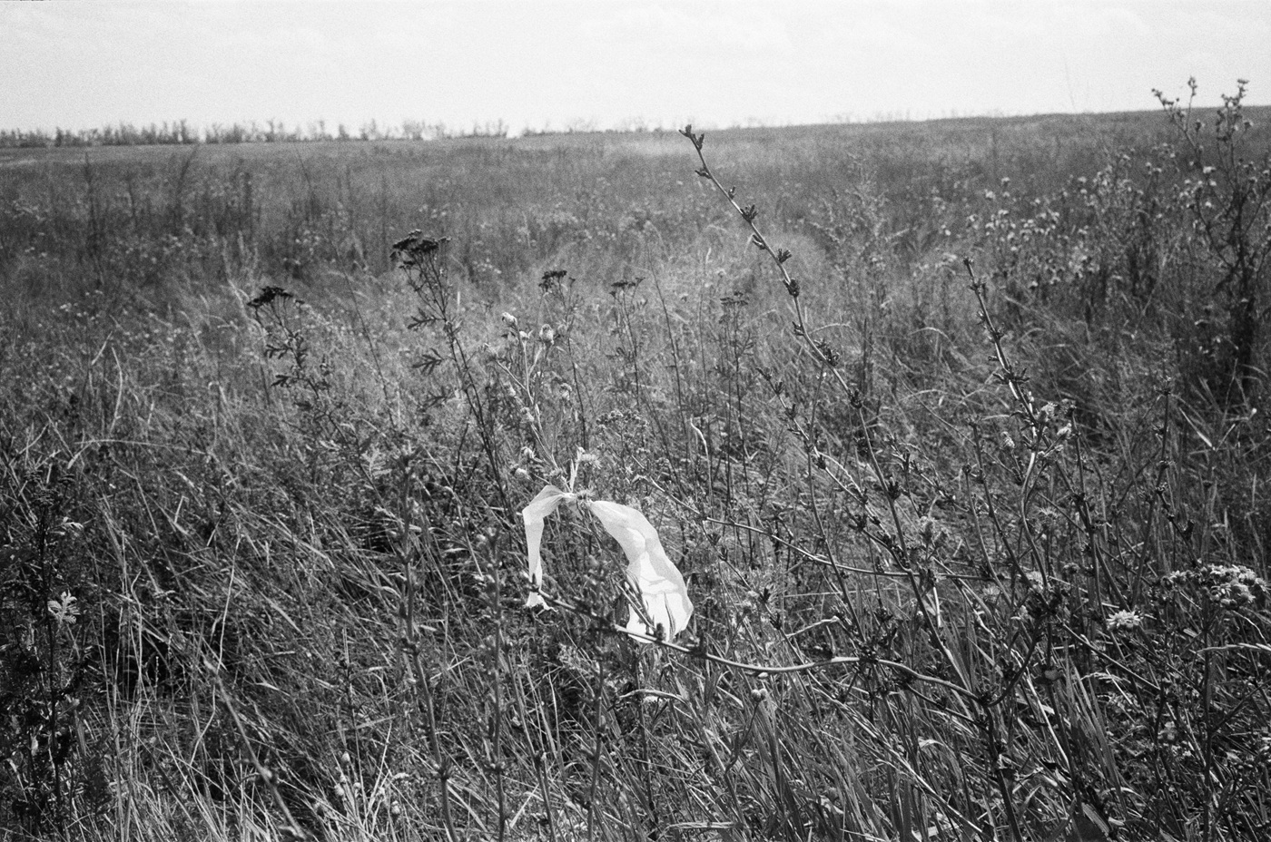 Біла стрічка попереджає, що поля поза селом Сухою Кам’янкою забруднені вибухонебезпечними предметами.