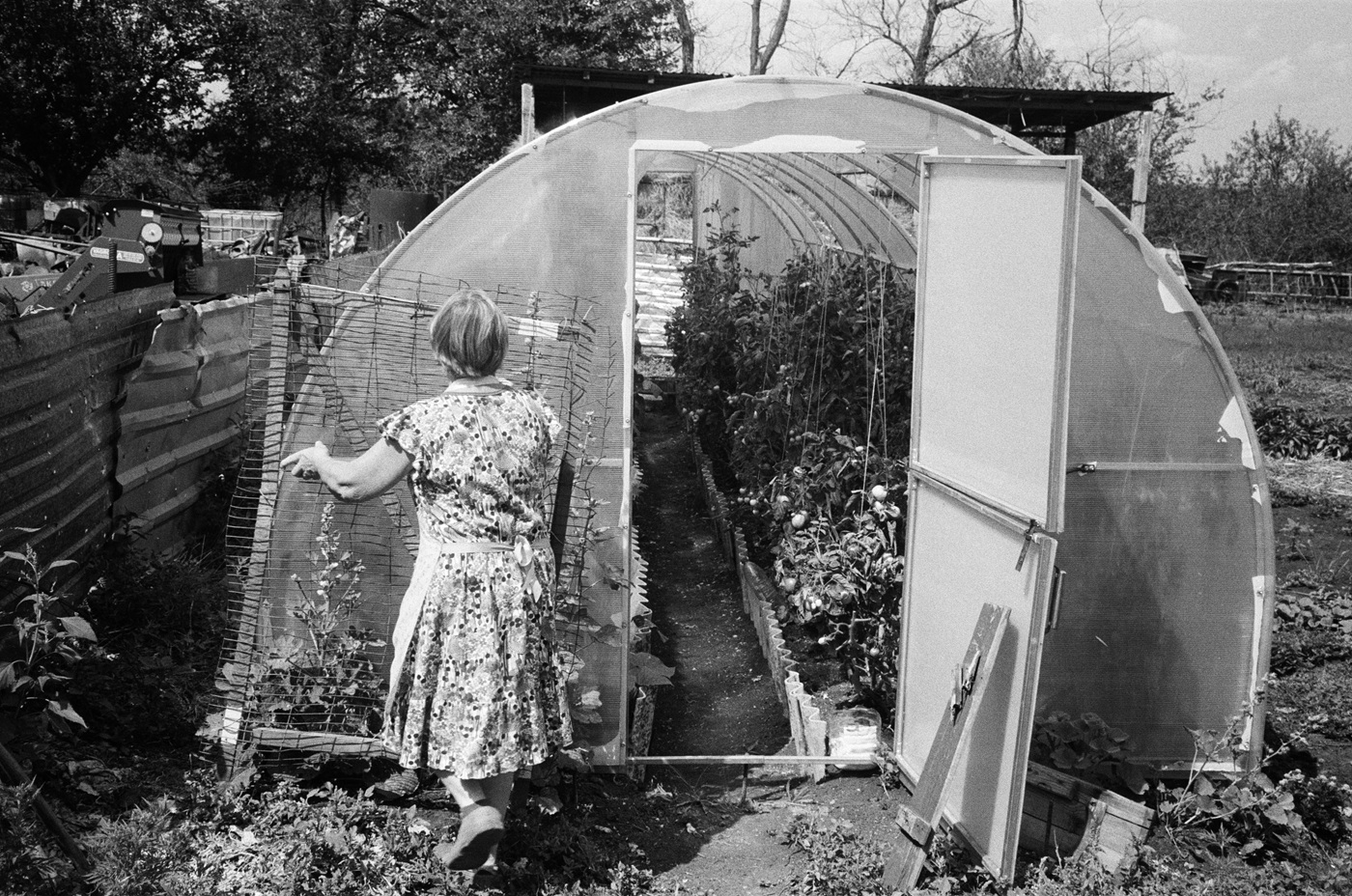 Наталія проводить екскурсію своєю теплицею в Довгенькому.