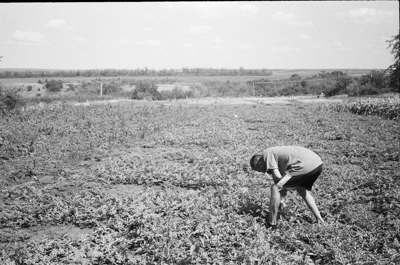 Ігор, син Наталії та Анатолія, на сімейній фермі в Довгенькому.