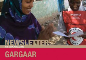 Gargaar Newsletter 2013