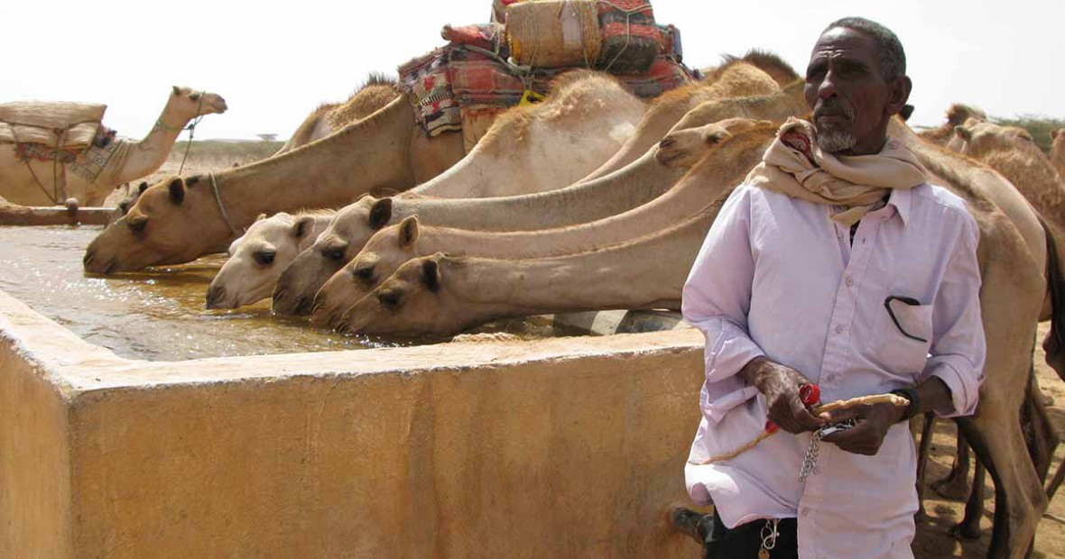 New borehole brings relief to Qardo residents