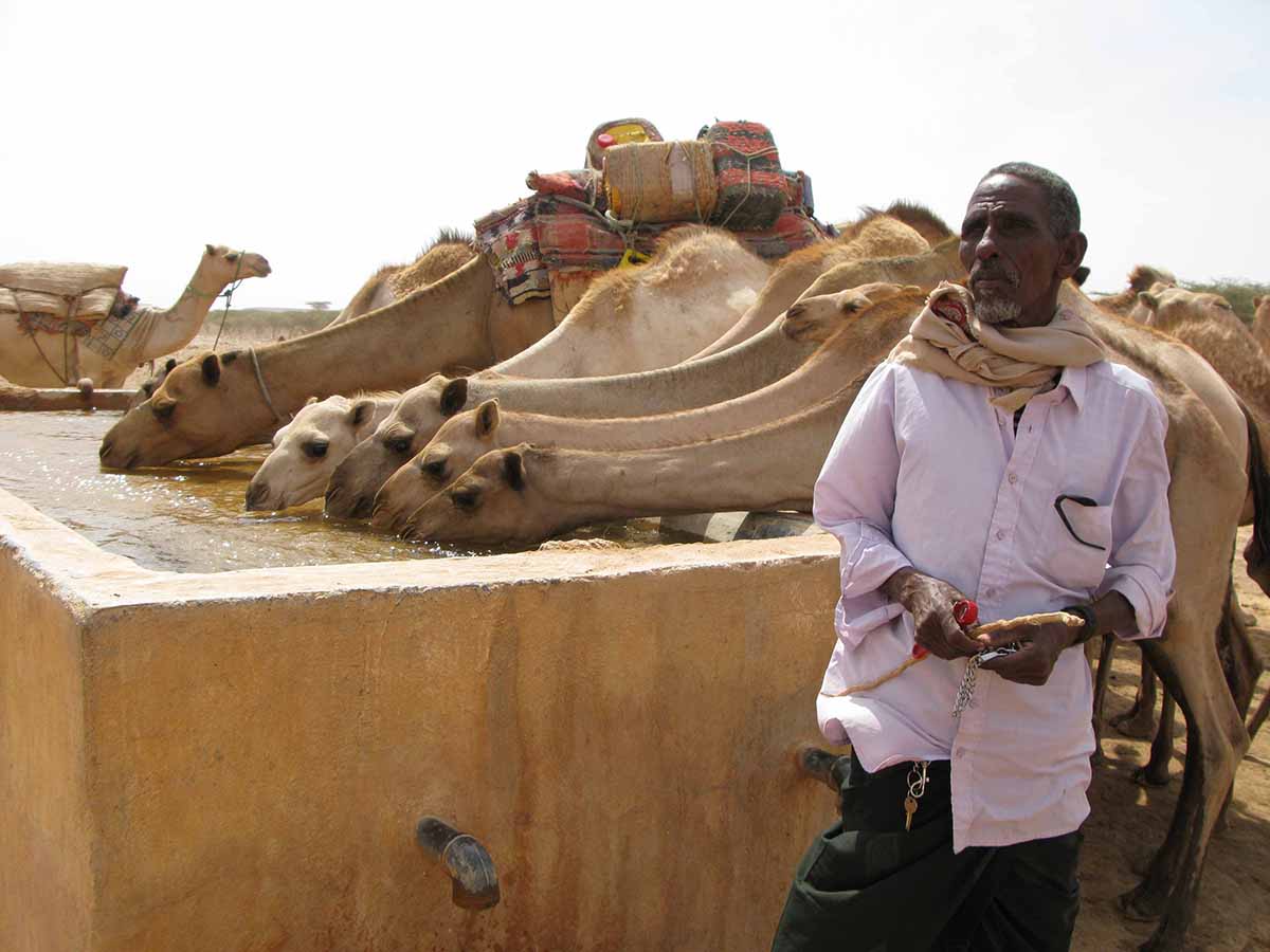 Koylak ostidagi erotizm Bu gozal mushuk